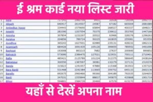 E Shram Card New Payment List 2024: ई श्रम कार्ड की ₹1000 रुपए की नई किस्त जारी, यहाँ से नई लिस्ट में नाम चेक करें